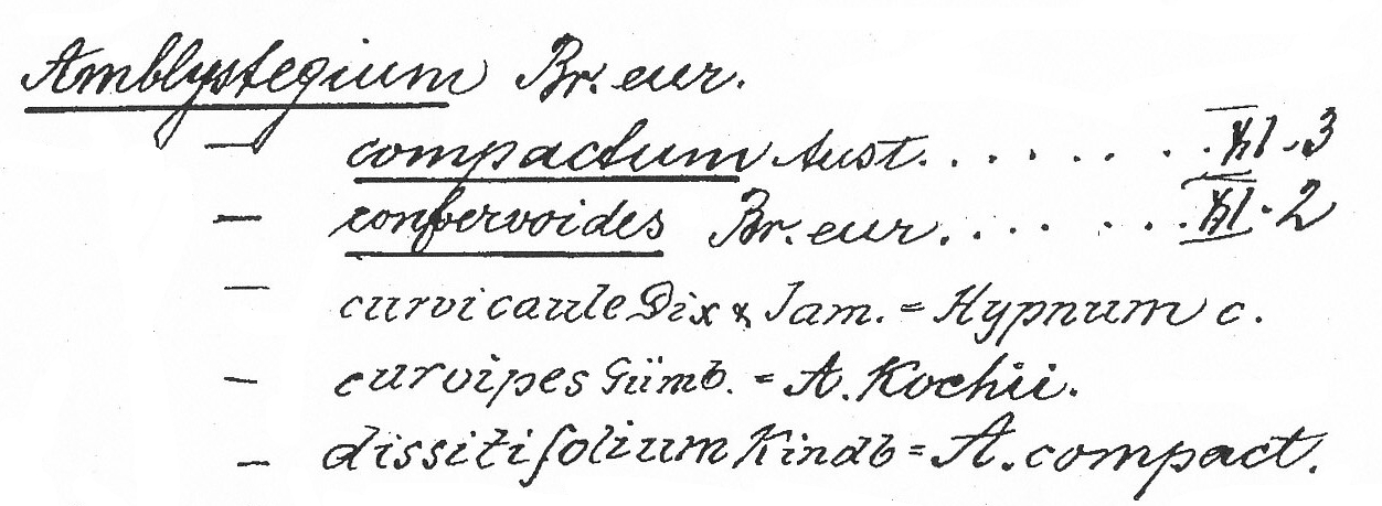 Handschrift Otto Burck, Beleg aus WIES