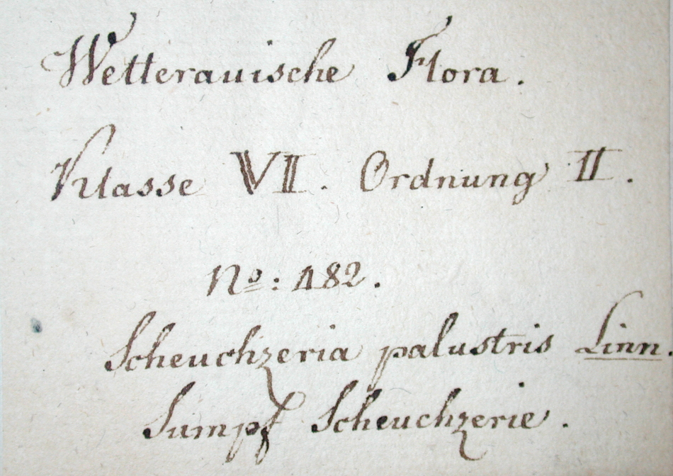 Handschrift Gottfried Gärtner, Beleg aus B