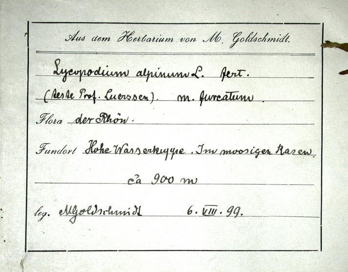 Handschrift Moritz Goldschmidt, Beleg aus HBG