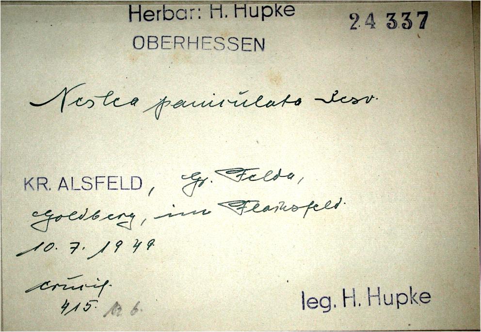 Handschrift Hans Hupke, Beleg aus FR