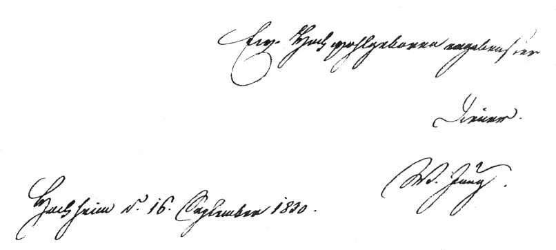 Handschrift Wilhelm Jung, Brief in WIES