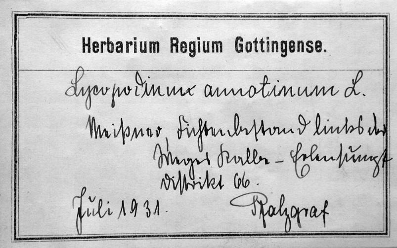Handschrift Hans Pfalzgraf