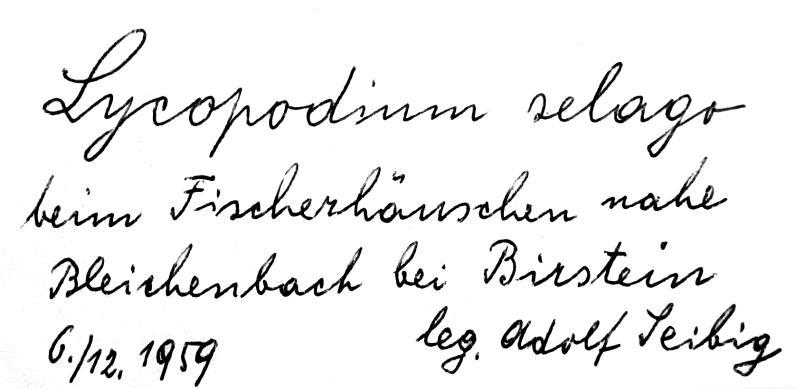 Handschrift Adolf Seibig, Beleg aus MB